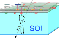 SOI